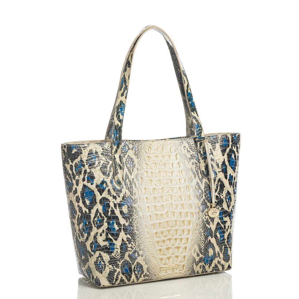 Brahmin Brooke Jaguar Ombre Melbourne ID:Brahmin-202745