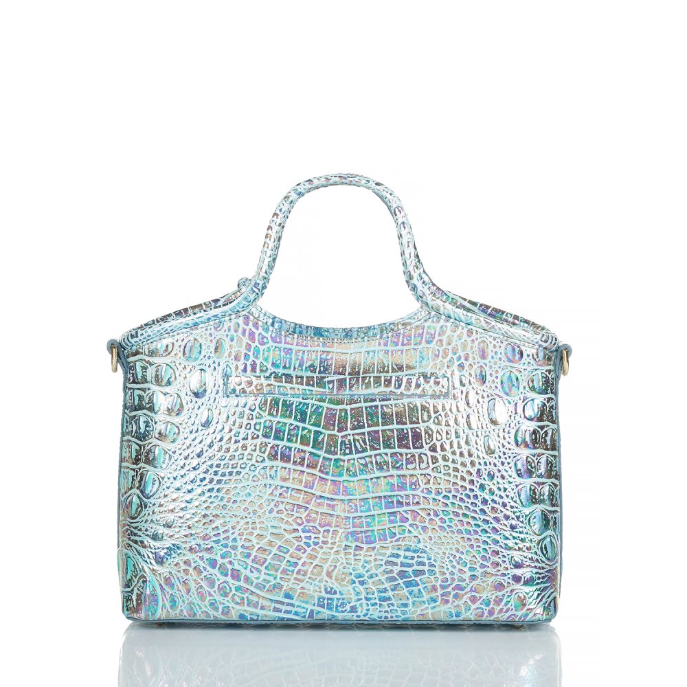 Brahmin Small Elaine Wonderland Melbourne ID:Brahmin-203419