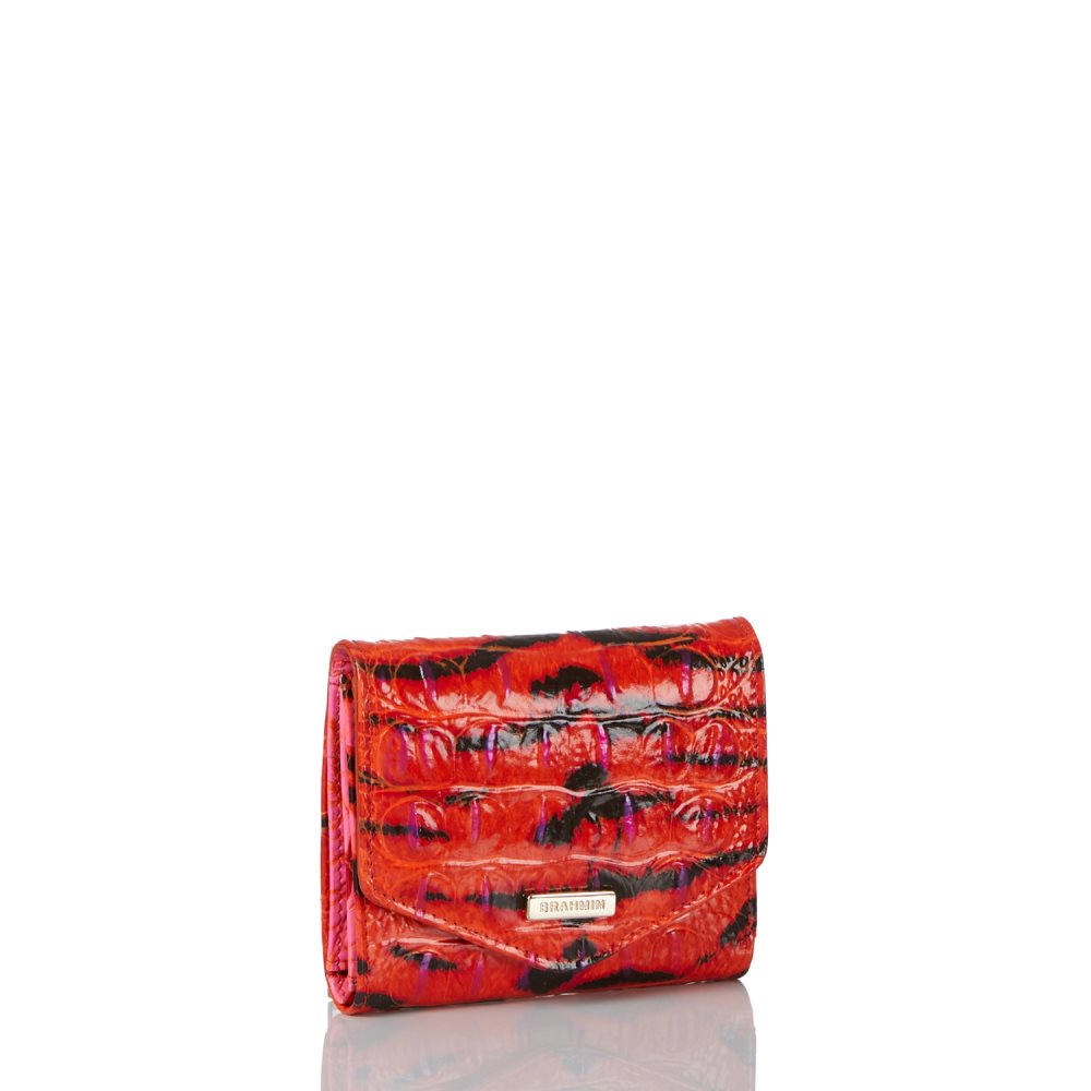 Brahmin Small Veronica Pink Feline Ombre Melbourne ID:Brahmin-203756