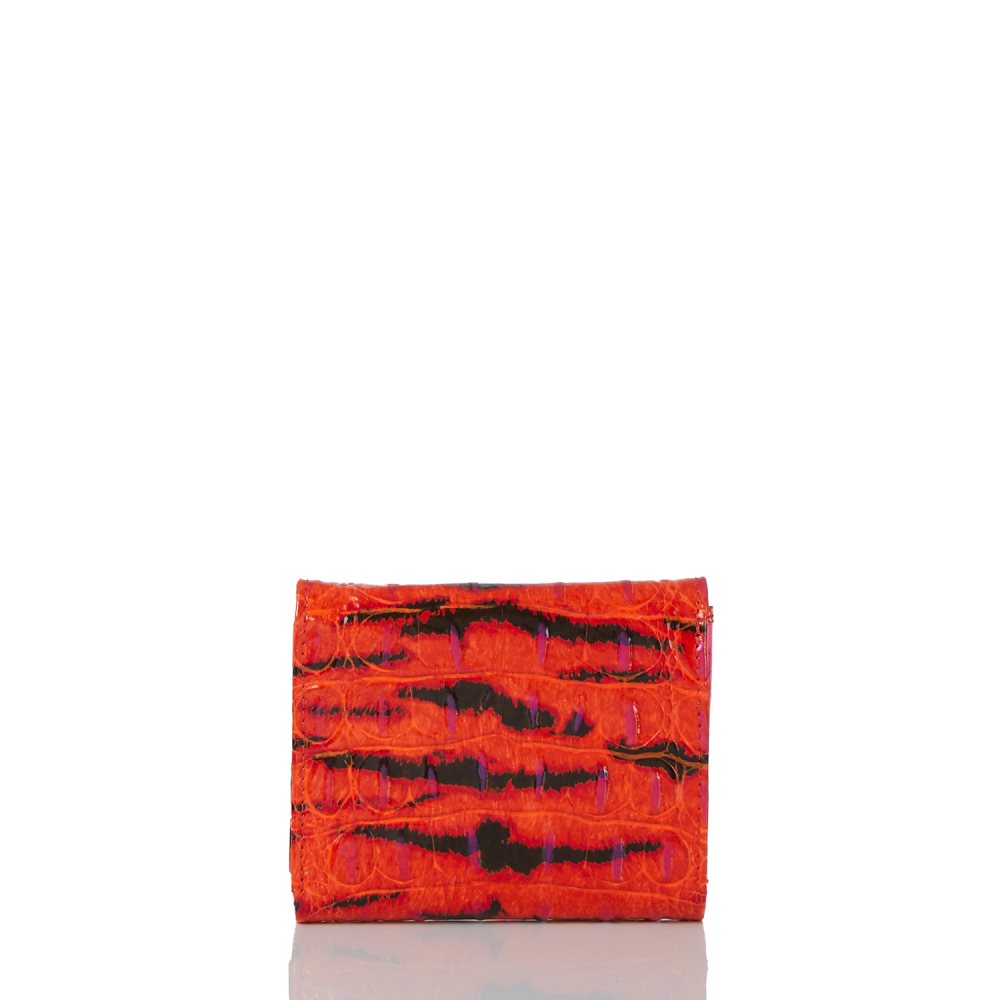 Brahmin Small Veronica Pink Feline Ombre Melbourne ID:Brahmin-203756