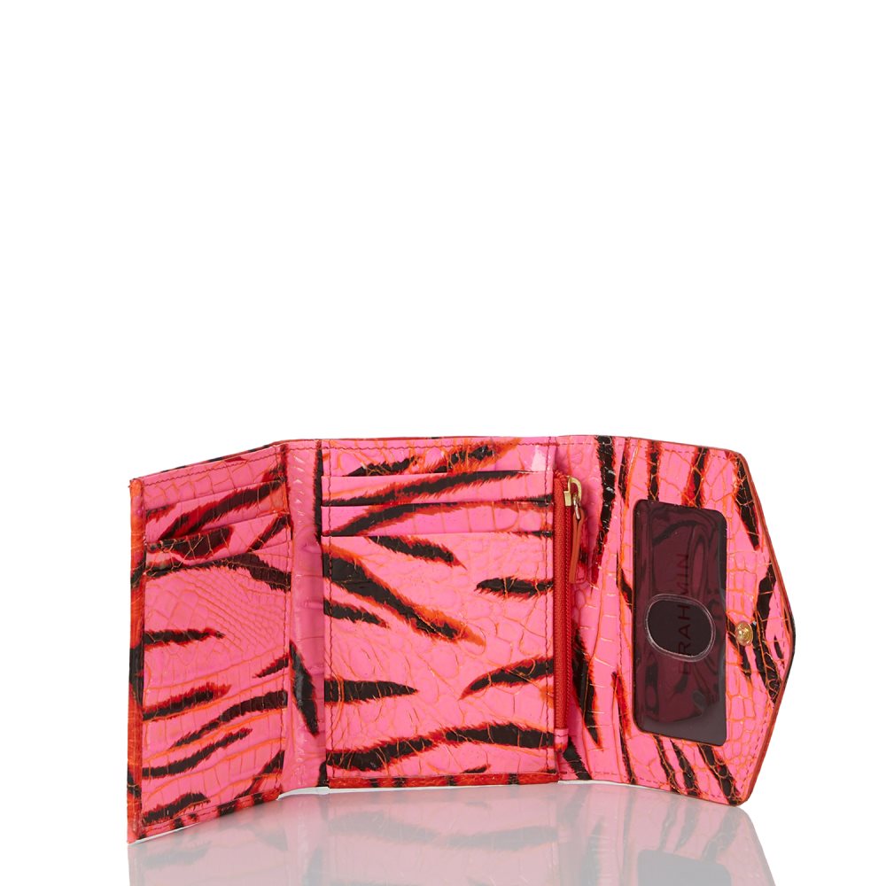 Brahmin Small Veronica Pink Feline Ombre Melbourne ID:Brahmin-203756