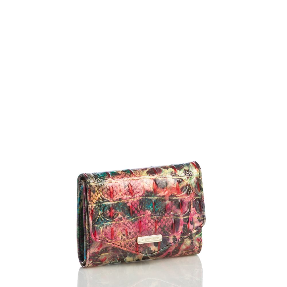 Brahmin Small Veronica Shapeshifter Melbourne ID:Brahmin-203794