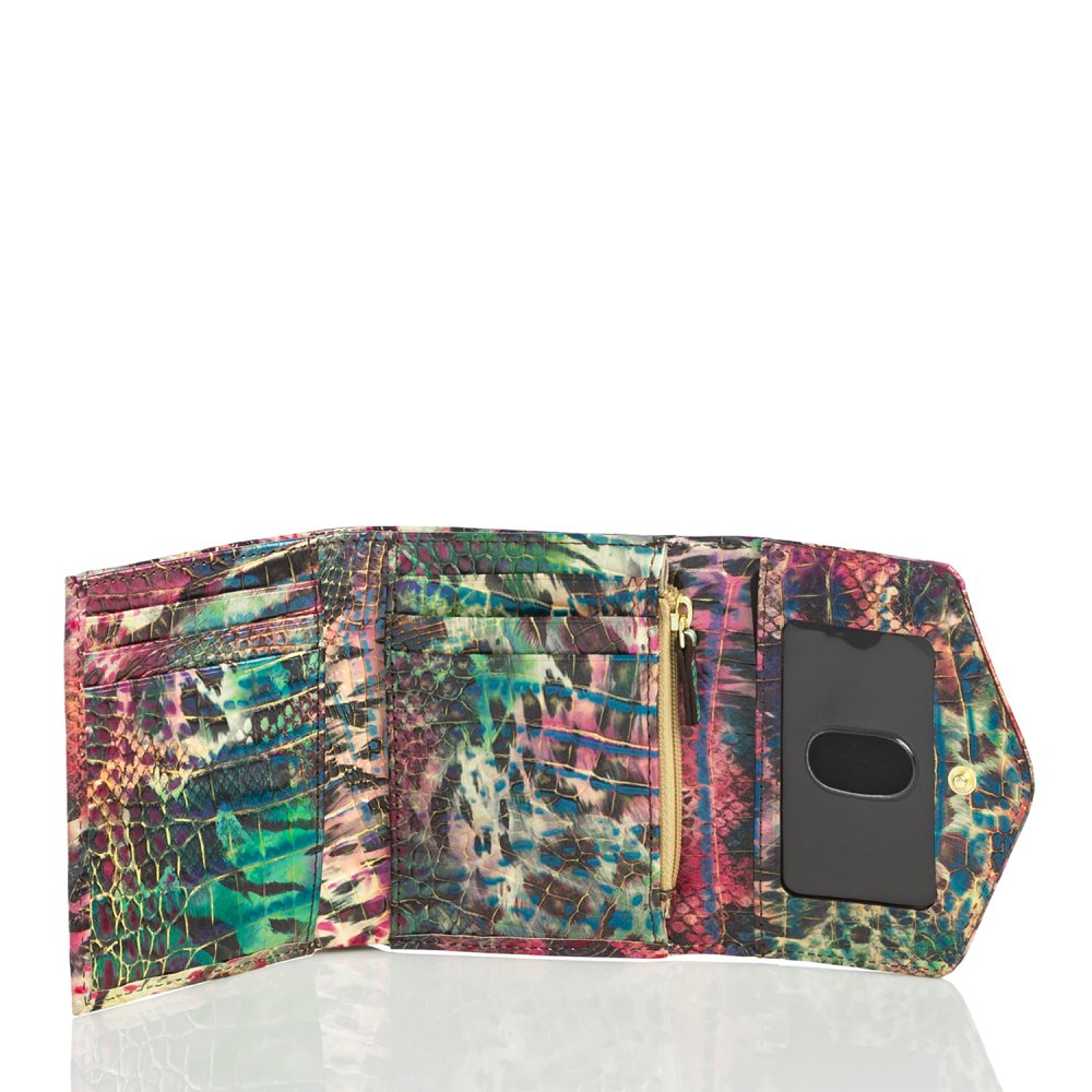 Brahmin Small Veronica Shapeshifter Melbourne ID:Brahmin-203794