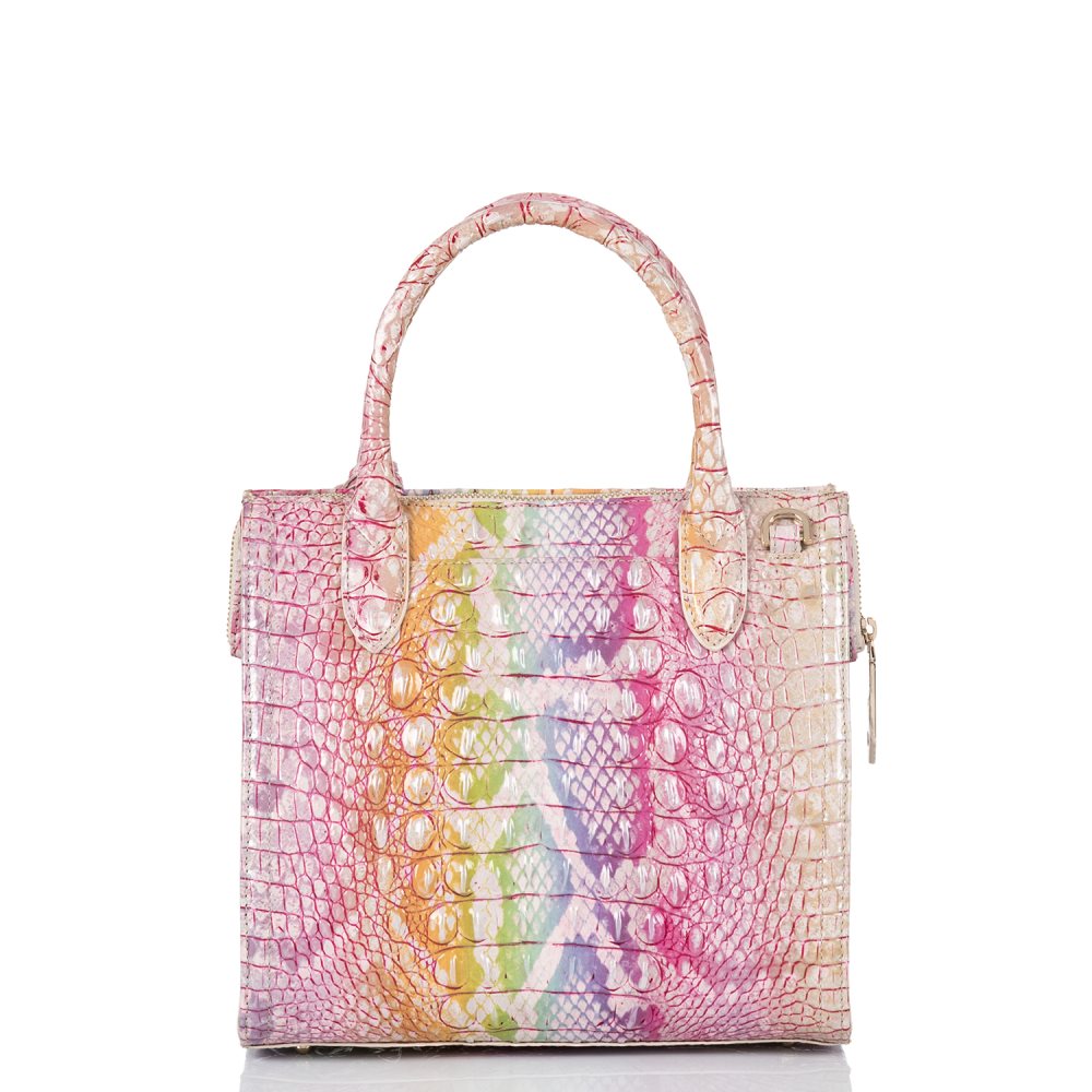 Brahmin Small Caroline Optimism Melbourne ID:Brahmin-203177