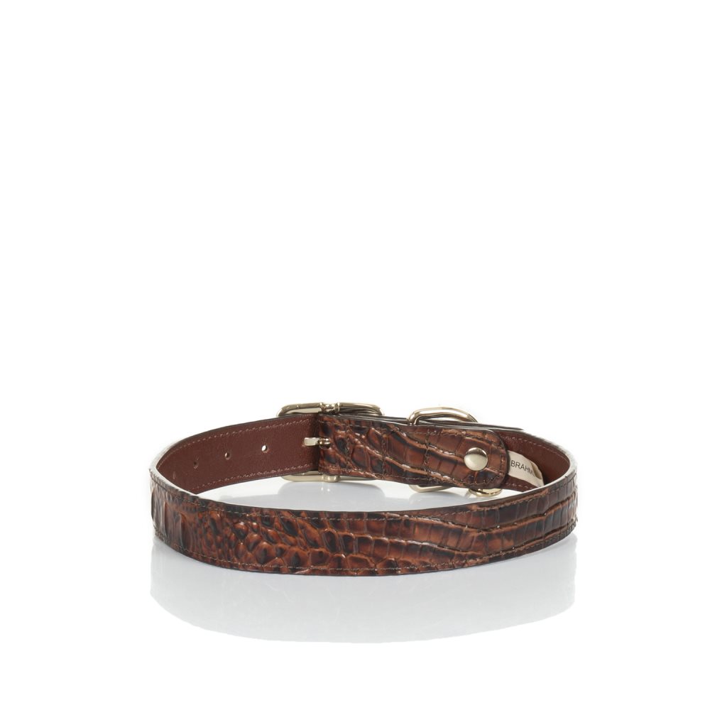 Brahmin Large Brown Leather Dog Collar | Pecan Melbourne ID:Brahmin-203594